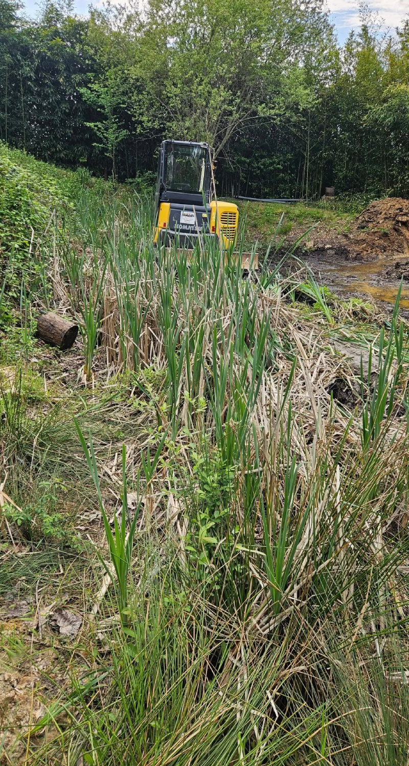 Assainissement Beaumont-du-Périgord